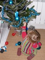 Etape 4 : attendre que maman tourne le dos pour mieux s'approcher